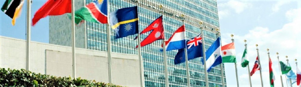 派遣先国際機関のイメージ画像（国連）